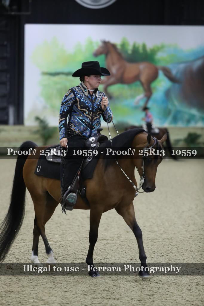 Proof 25R13_10559