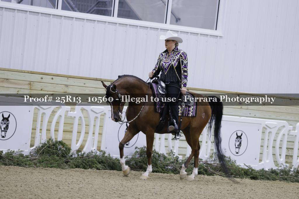Proof 25R13_10560