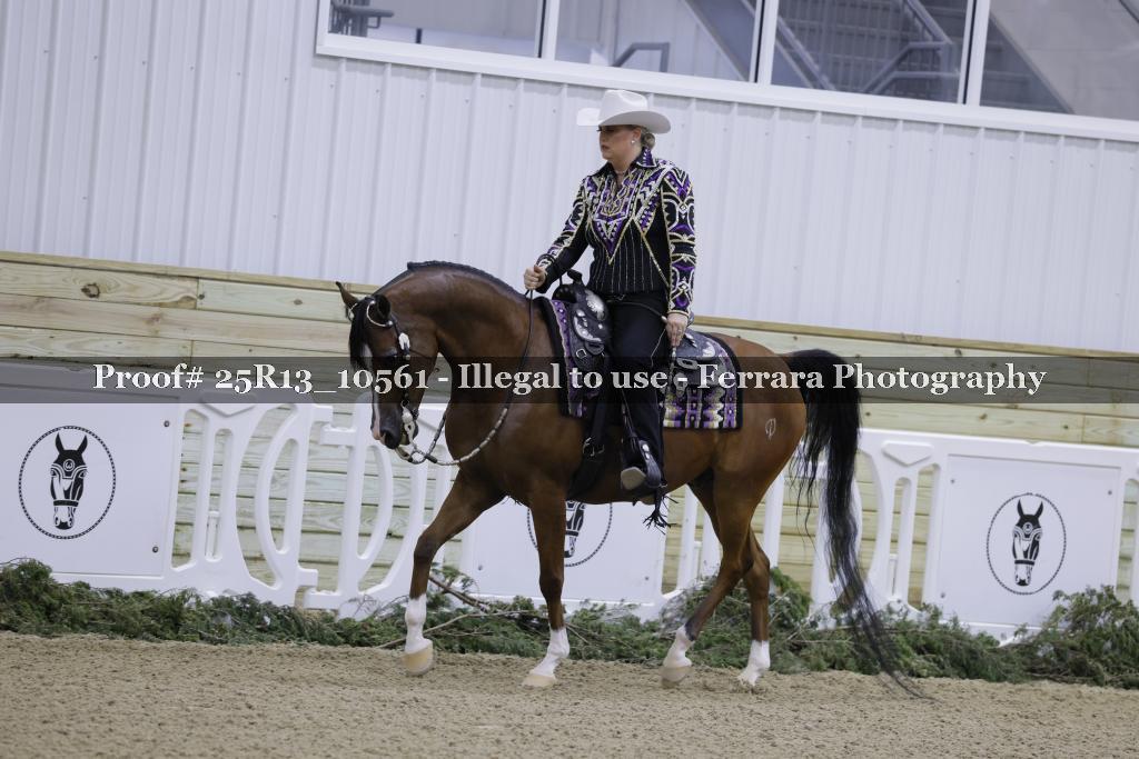 Proof 25R13_10561