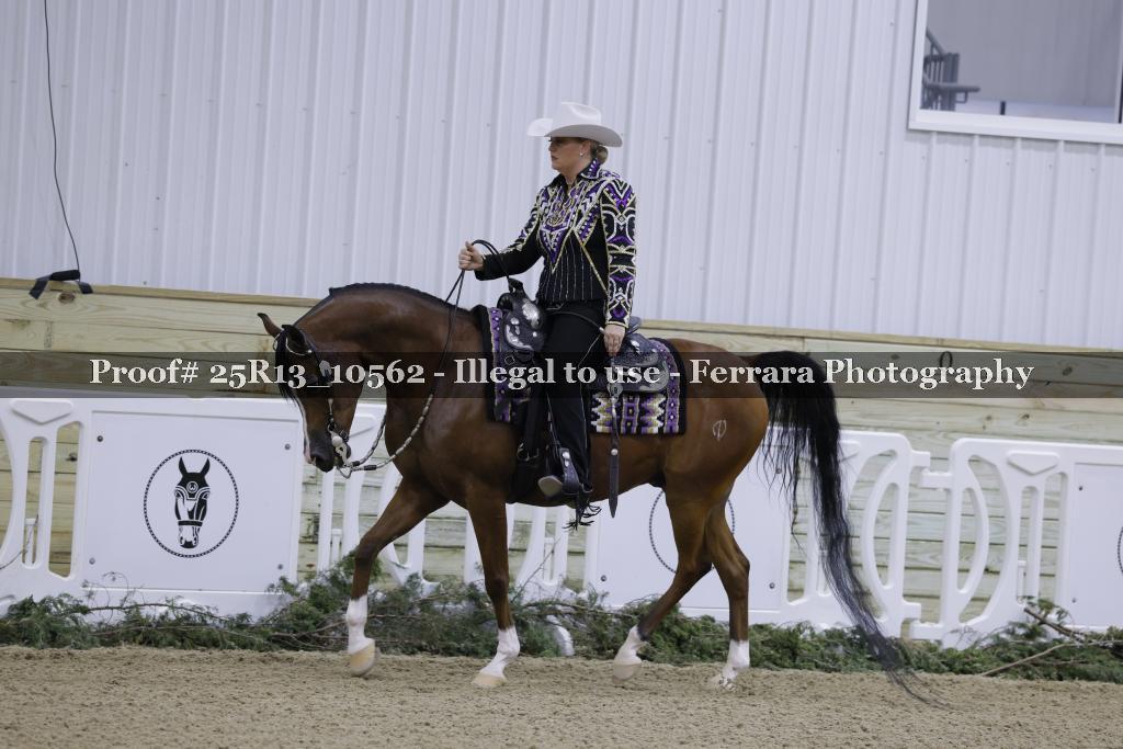 Proof 25R13_10562