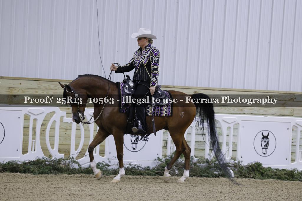 Proof 25R13_10563