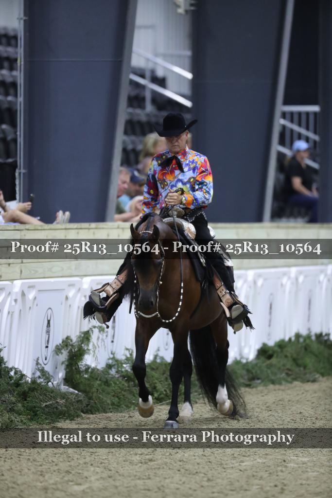 Proof 25R13_10564