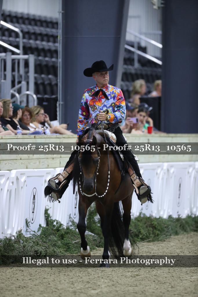 Proof 25R13_10565