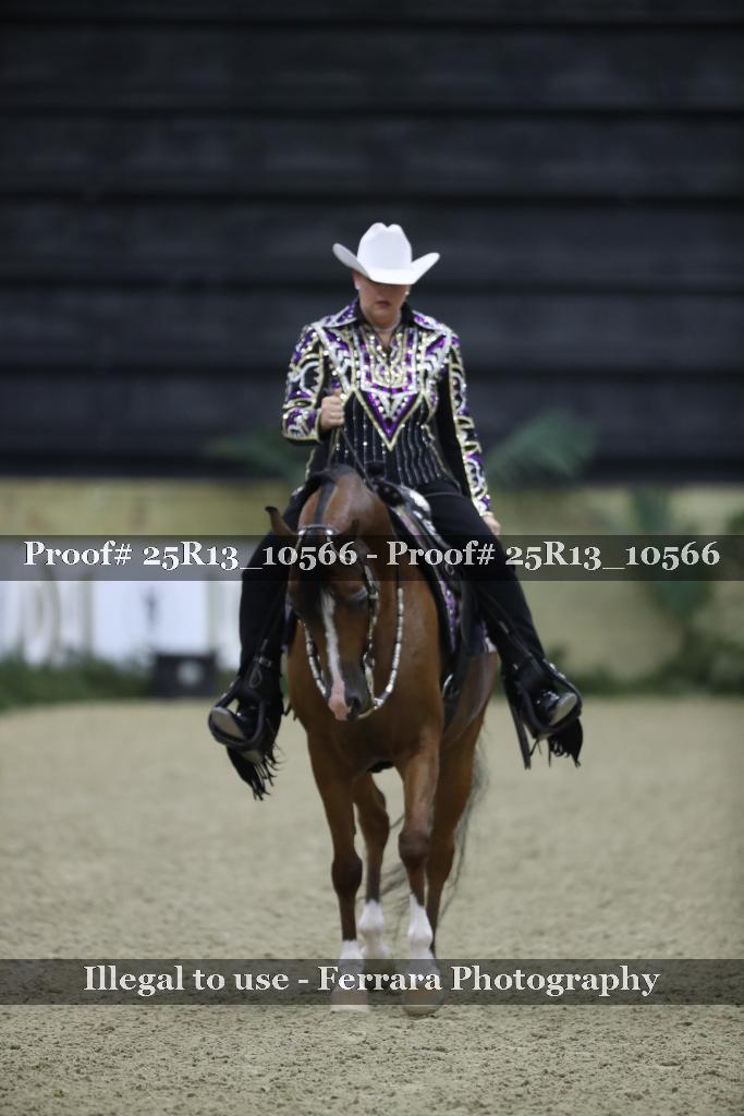 Proof 25R13_10566