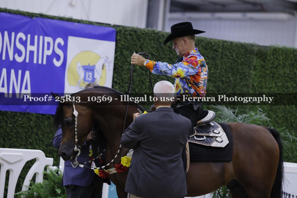 Proof 25R13_10569