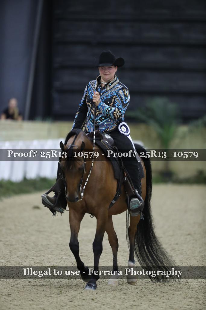 Proof 25R13_10579