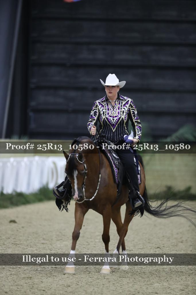 Proof 25R13_10580