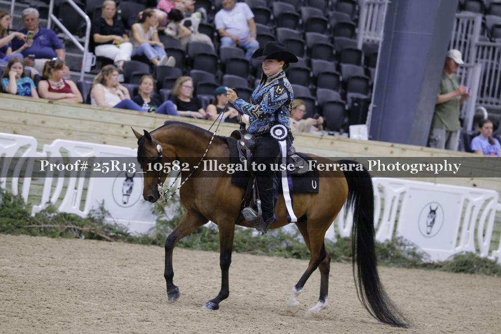 Proof 25R13_10582