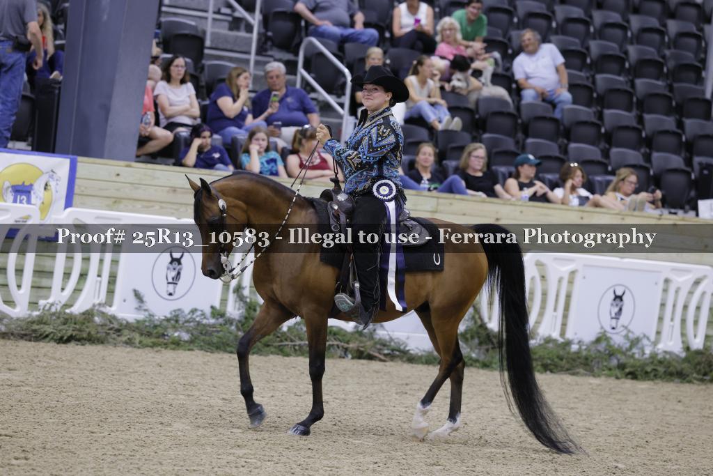 Proof 25R13_10583
