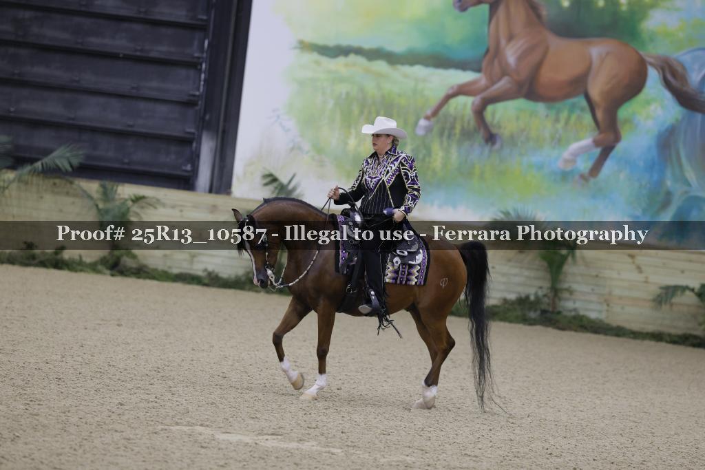 Proof 25R13_10587