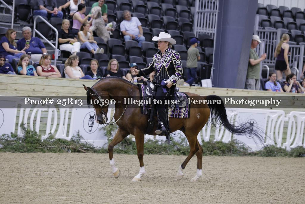 Proof 25R13_10590