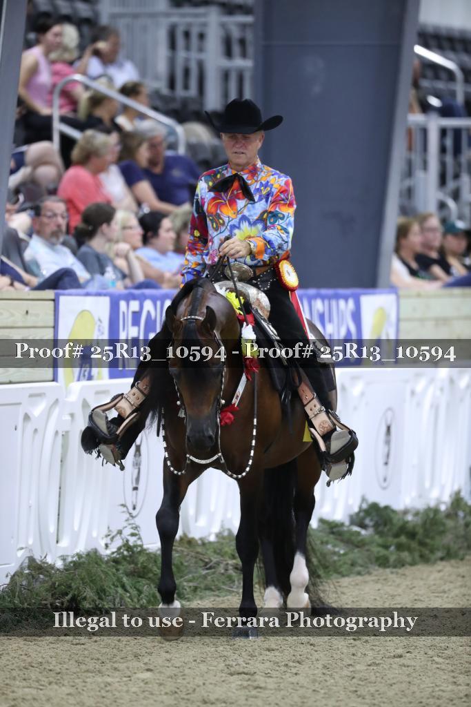 Proof 25R13_10594