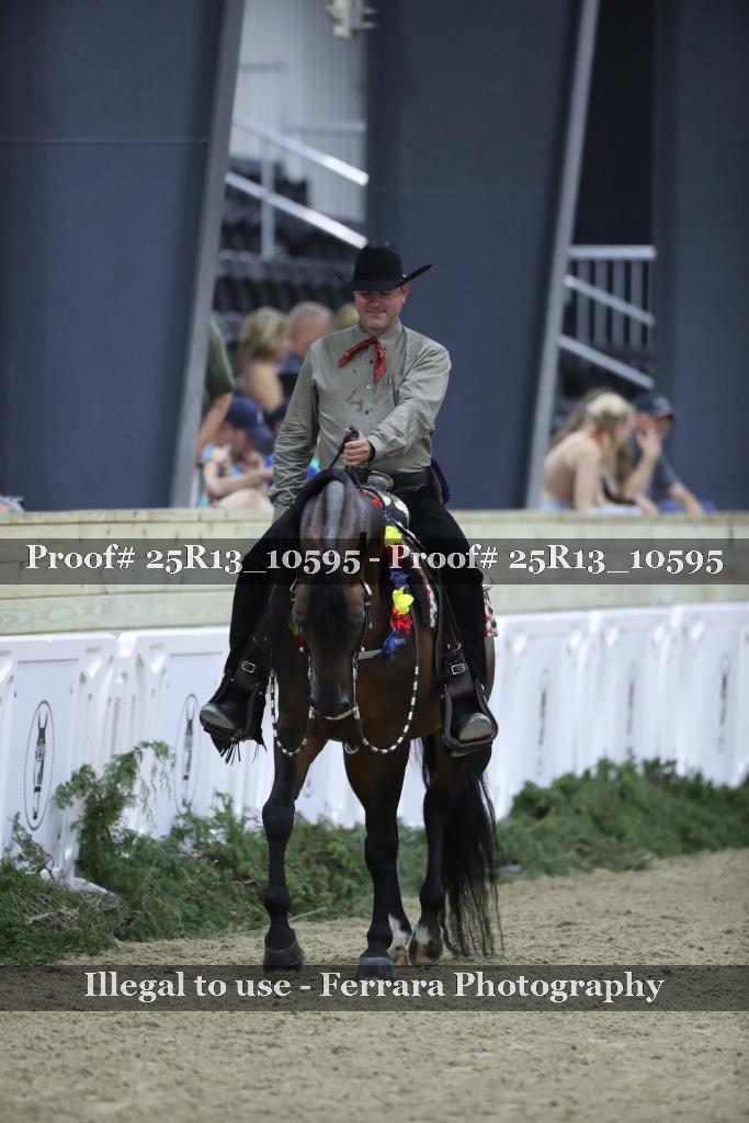 Proof 25R13_10595
