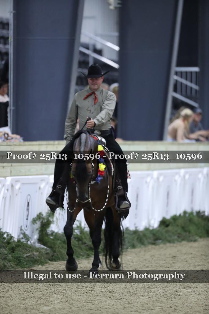 Proof 25R13_10596