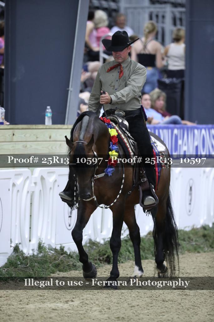 Proof 25R13_10597