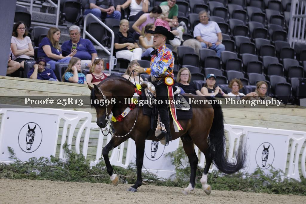 Proof 25R13_10598