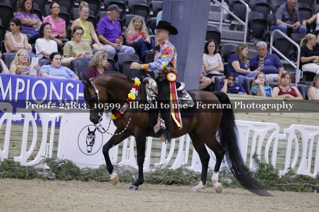 Proof 25R13_10599