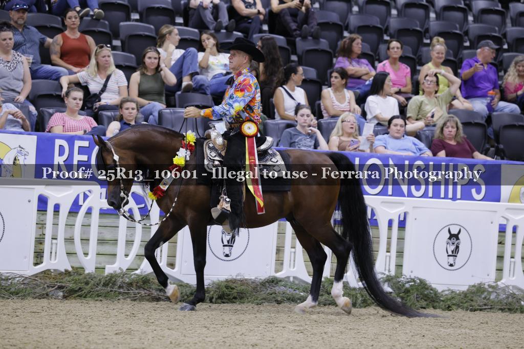Proof 25R13_10601