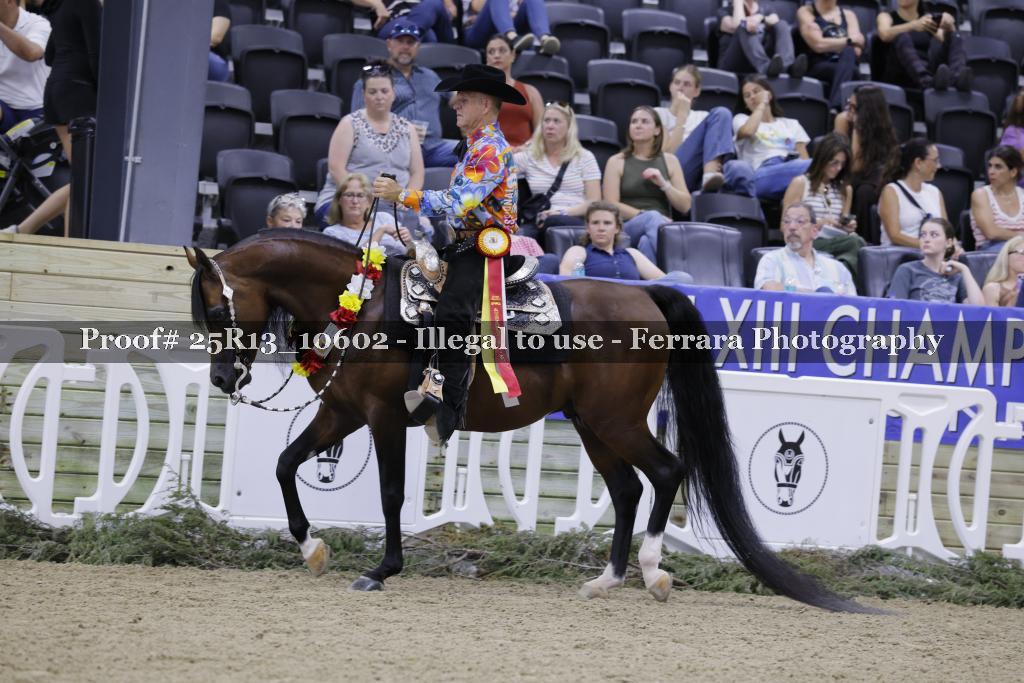 Proof 25R13_10602
