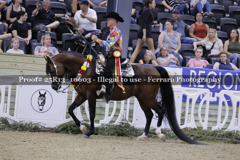 Proof 25R13_10603