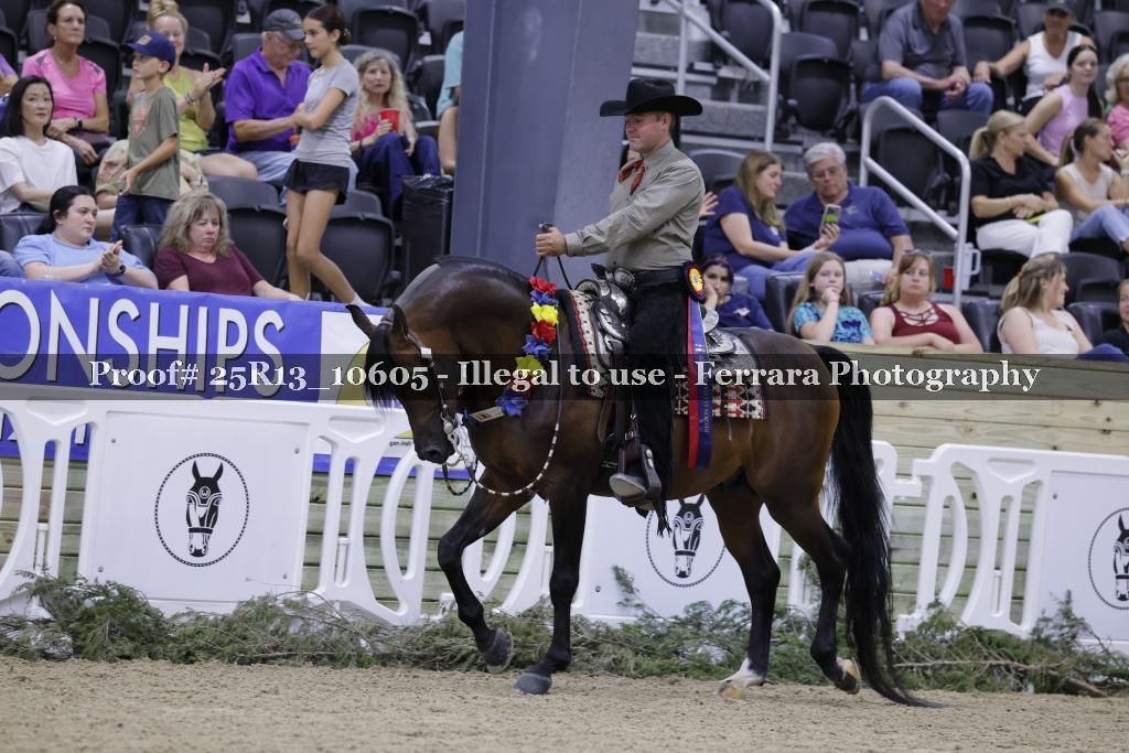 Proof 25R13_10605