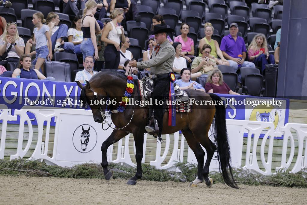 Proof 25R13_10606