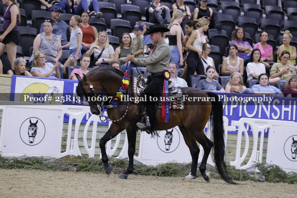 Proof 25R13_10607