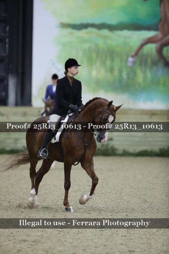 Proof 25R13_10613