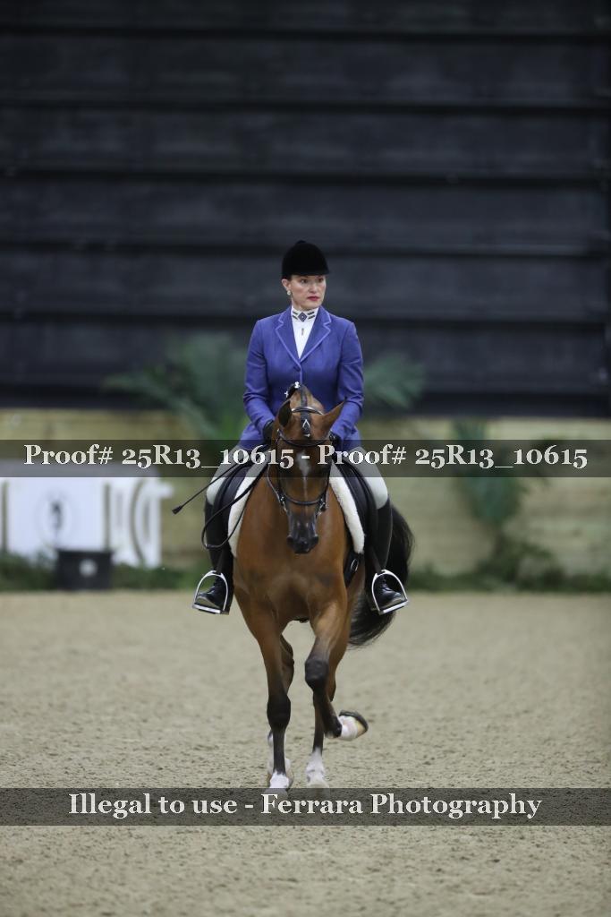 Proof 25R13_10615