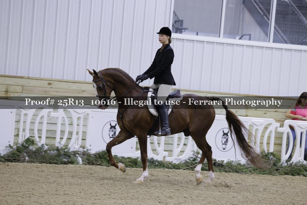 Proof 25R13_10616