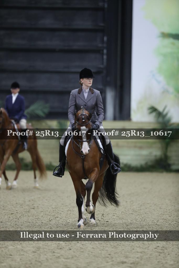 Proof 25R13_10617