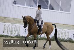 25R13_10618 proof