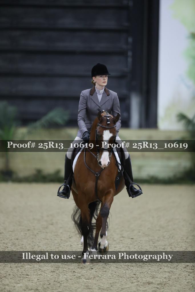 Proof 25R13_10619