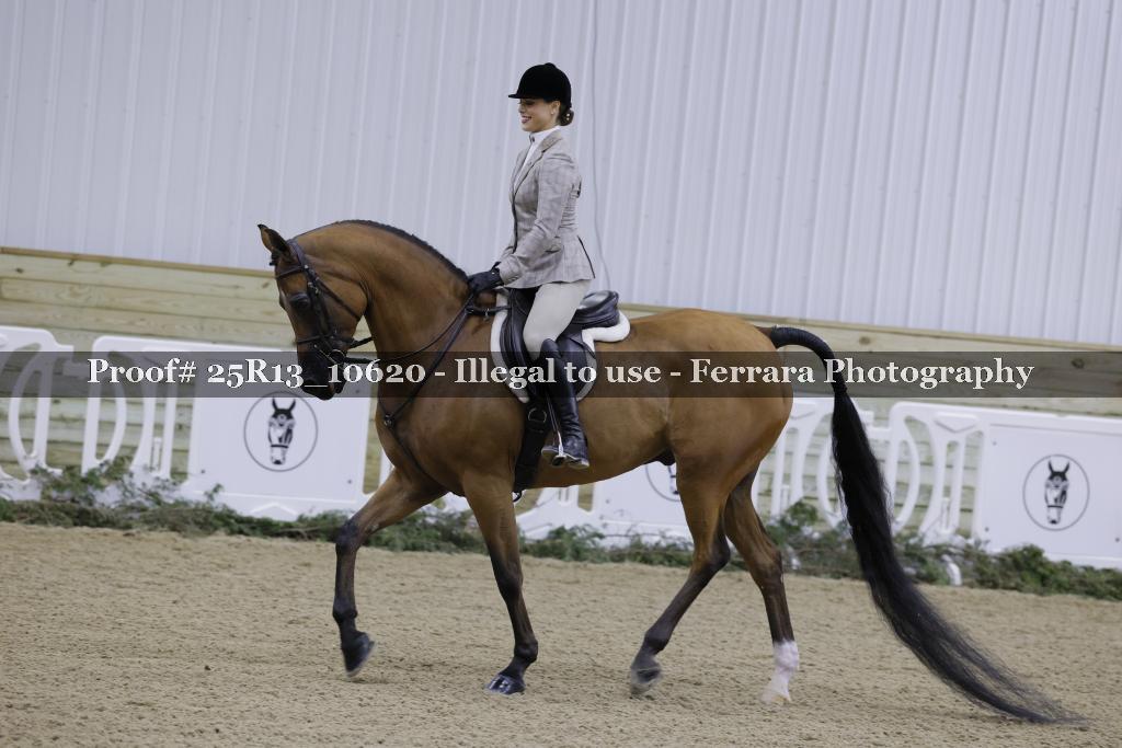 Proof 25R13_10620