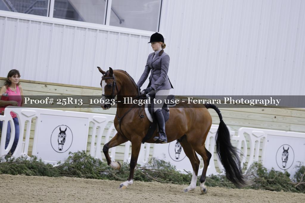 Proof 25R13_10623