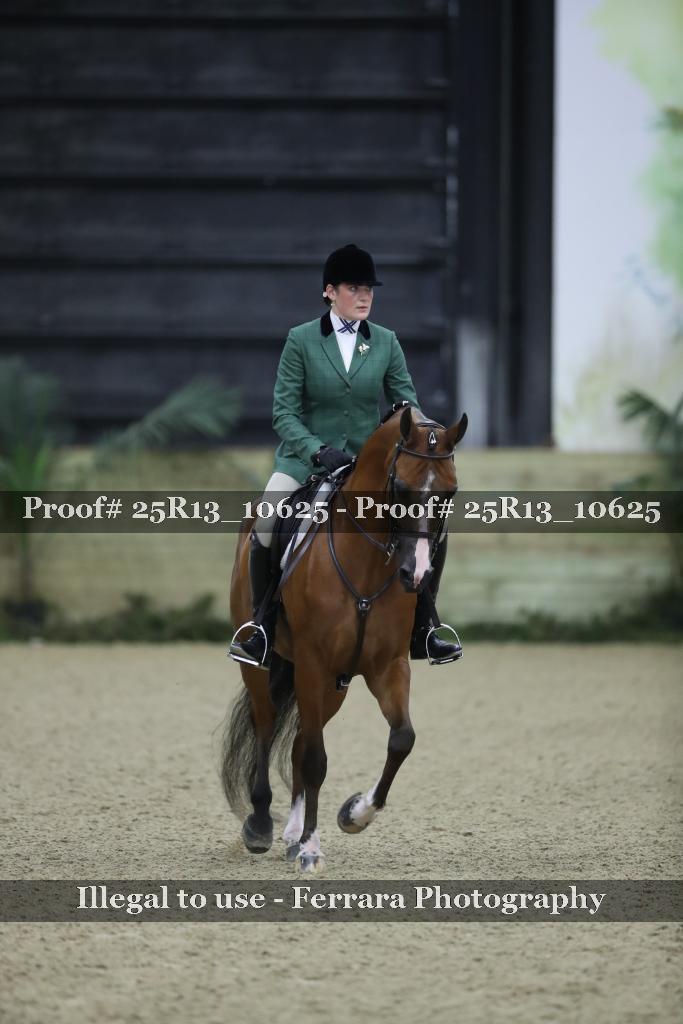 Proof 25R13_10625