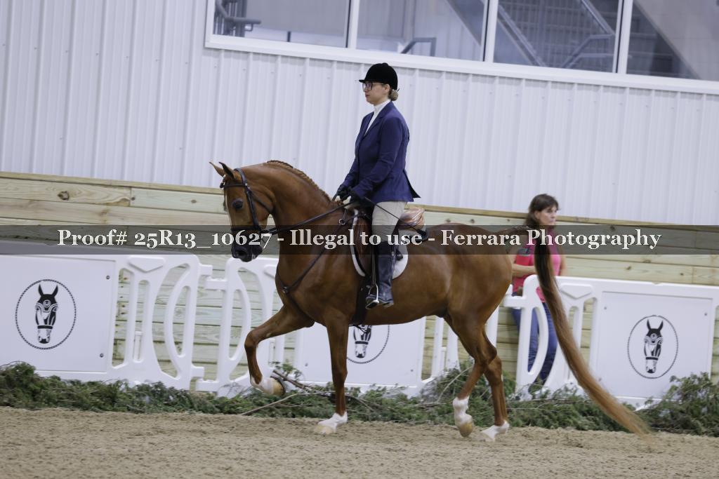 Proof 25R13_10627