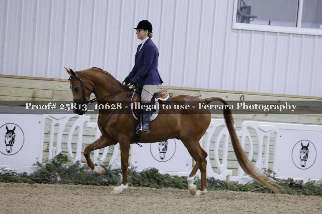 Proof 25R13_10628