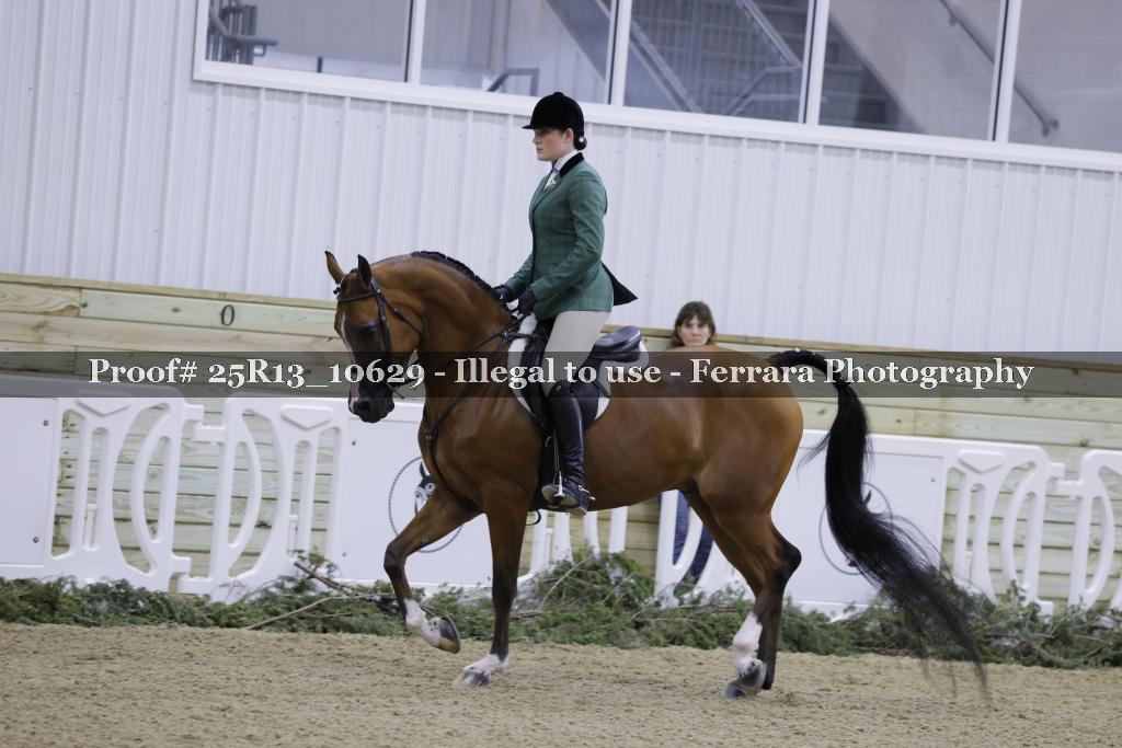Proof 25R13_10629