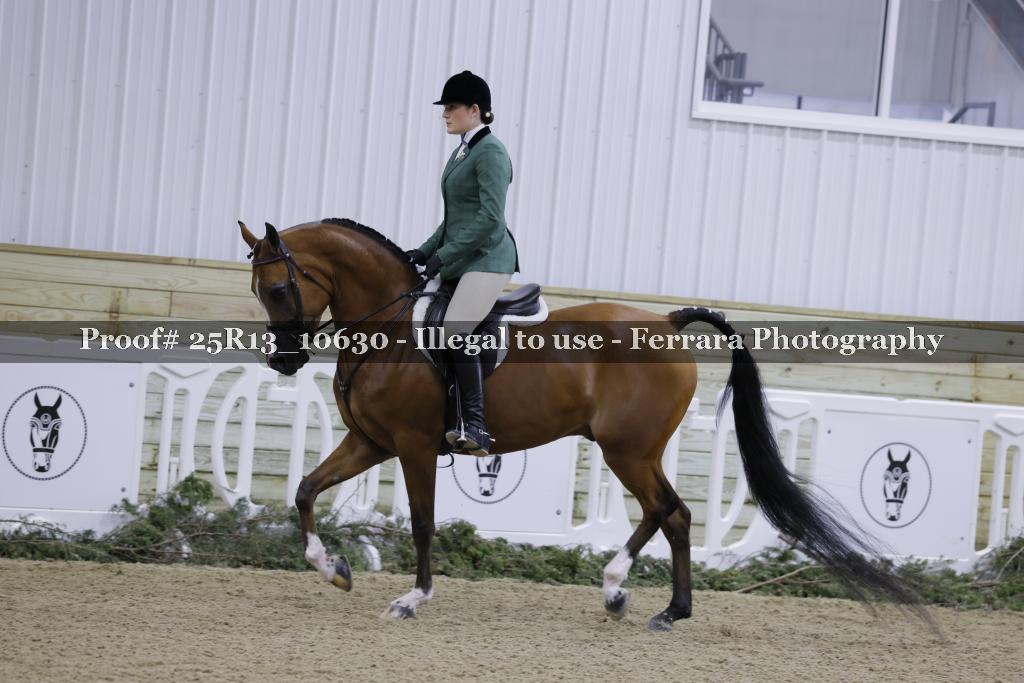 Proof 25R13_10630