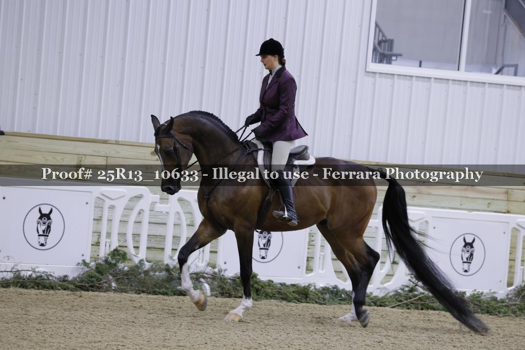 Proof 25R13_10633