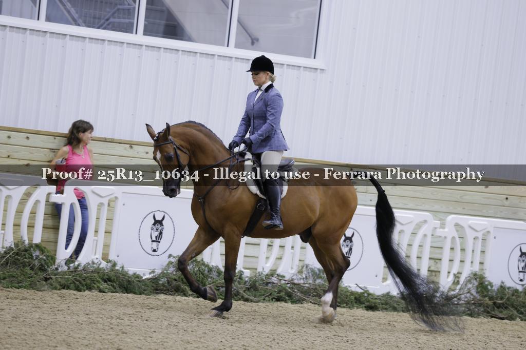 Proof 25R13_10634