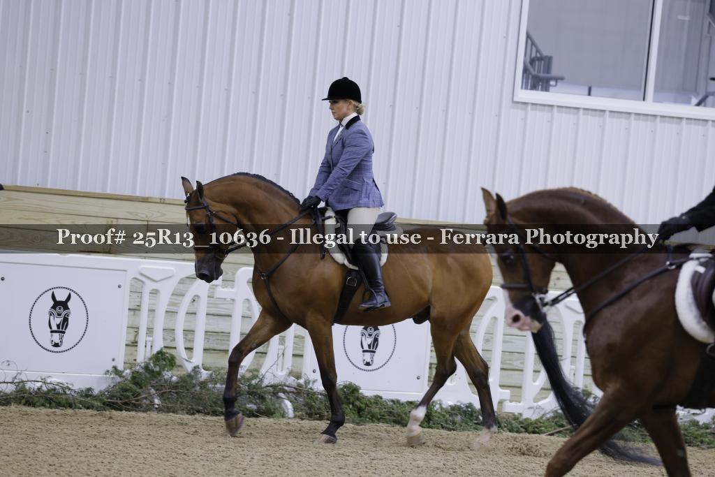 Proof 25R13_10636