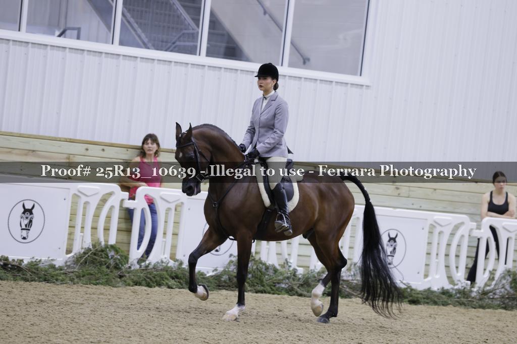 Proof 25R13_10639