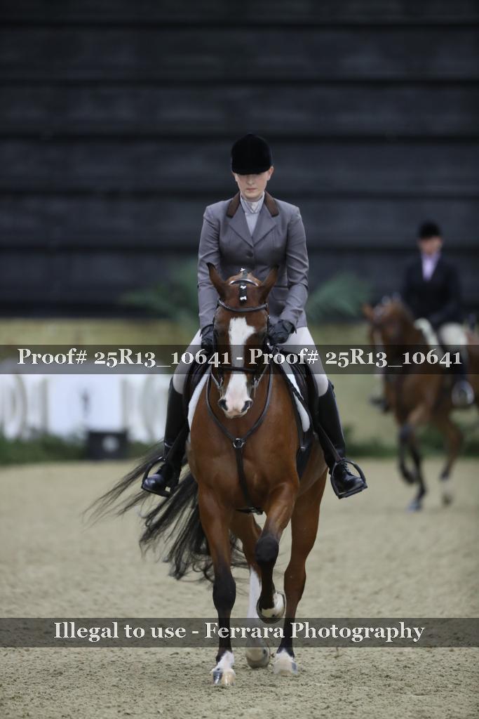 Proof 25R13_10641