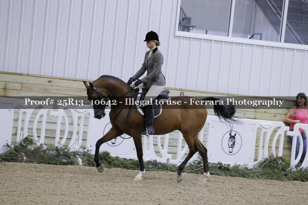 Proof 25R13_10642