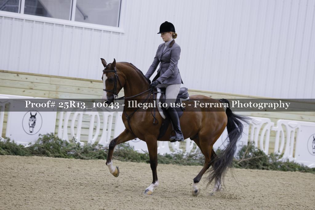 Proof 25R13_10643