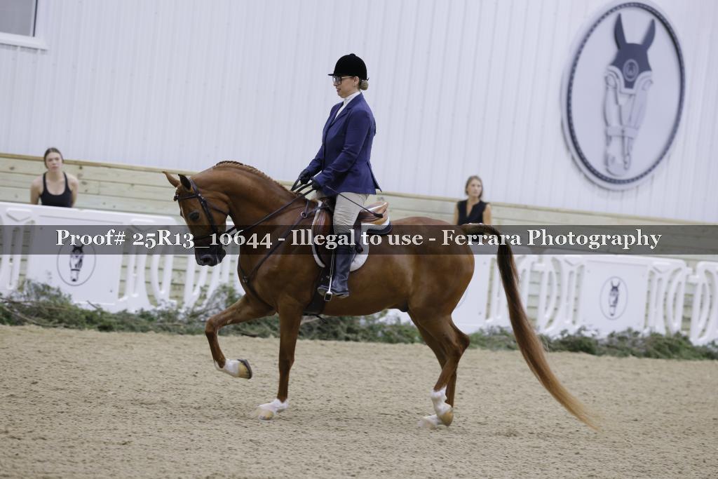 Proof 25R13_10644