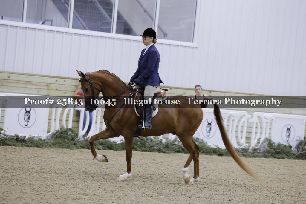 Proof 25R13_10645