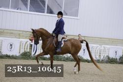 25R13_10645 proof